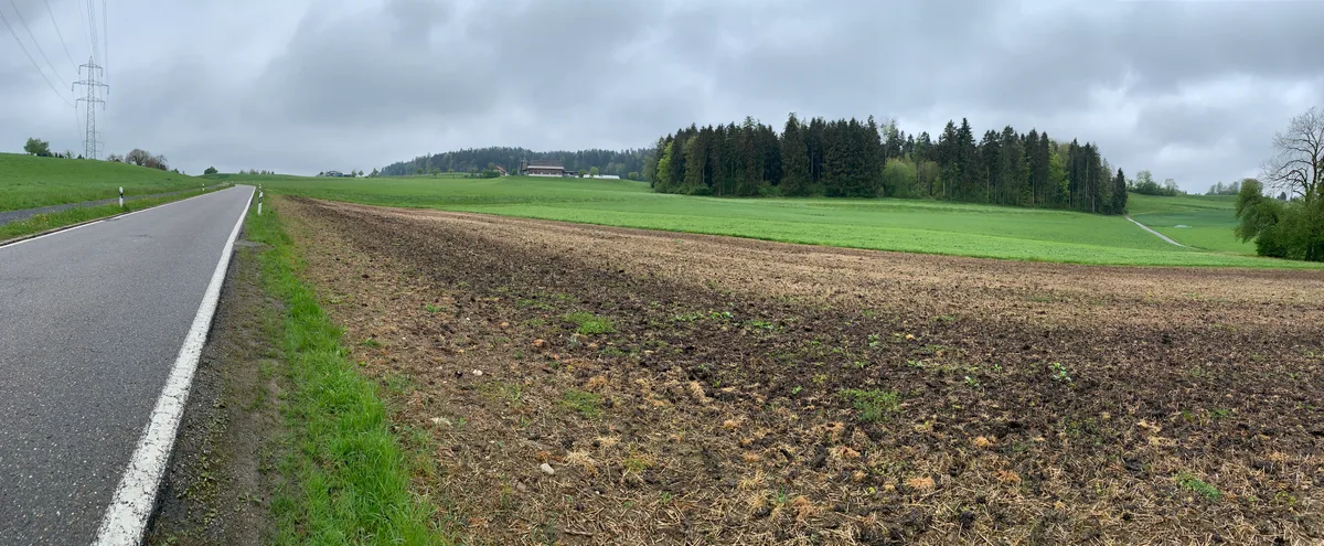 Blick auf einen Bauernhof mit Acker, Wiese und Wald.
